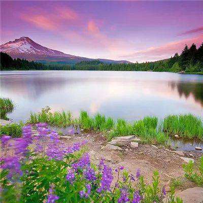 爱游戏全站APP入口苹果版手机app下载